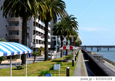 宮崎市　大淀河畔の橘公園　南国ムードあふれる癒しの空間 63504109