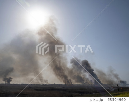 渡良瀬遊水地ヨシ焼き 63504960