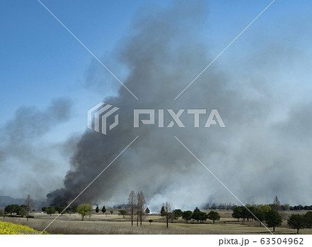 渡良瀬遊水地ヨシ焼き 渡良瀬遊水地ヨシ焼き 63504962