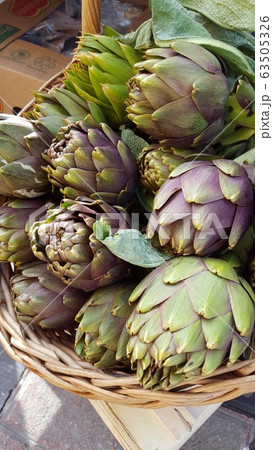 アーティチョーク 63505326