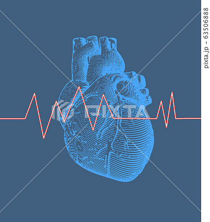 Human heart with heart rate illustration on blue 63506888