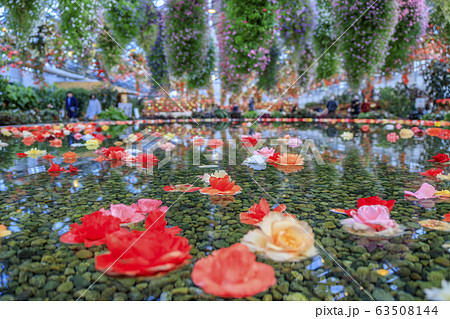 なばなの里　ベゴニアガーデン 63508144