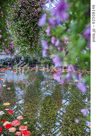 なばなの里　ベゴニアガーデン 63508146