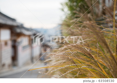 Bukchon Hanok Village, a Korean traditional Bukchon Hanok Village, a Korean traditional 63508530