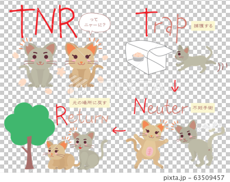 Set of illustrations of regional cat TNR Set of illustrations of regional cat TNR 63509457
