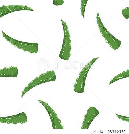 Seamless pattern with aloe vera medicinal plant 63510572