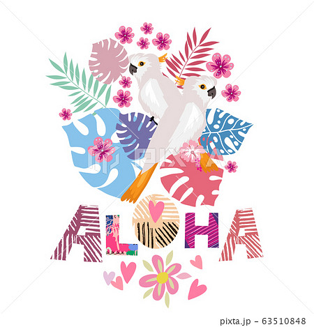 Aloha Card 4のイラスト素材