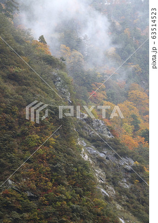欅平駅から望む雨上がりの黒部峡谷 欅平駅から望む雨上がりの黒部峡谷 63514523