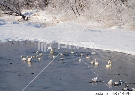 鶯野の風景 秋田県 63514696