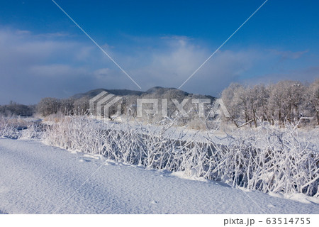 鶯野の風景 秋田県 63514755
