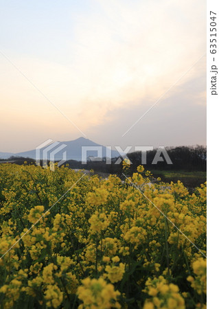 春の小貝川と筑波山 63515047