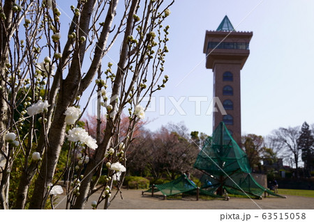 麻溝公園 63515058