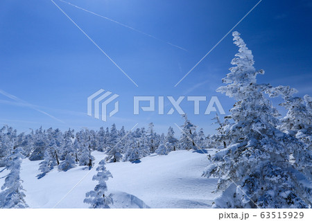 樹氷と青空 63515929