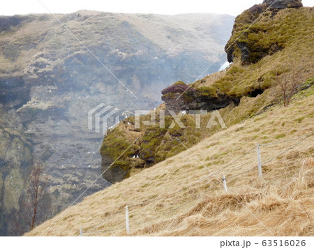 アイスランド　スコゥガフォスの鳥 63516026