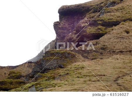 アイスランド　スコゥガフォスの鳥 63516027