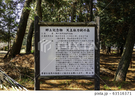備前おさふね刀剣の里 天王社刀剣の森 岡山県瀬戸内市 備前おさふね刀剣の里 天王社刀剣の森 岡山県瀬戸内市 63516371