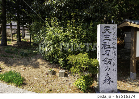 備前おさふね刀剣の里　天王社刀剣の森　岡山県瀬戸内市 63516374