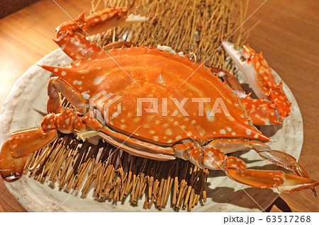 竹崎カニ 竹崎カニ 63517268
