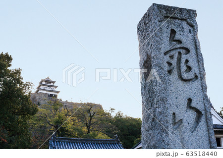 秋の丸亀城の風景 秋の丸亀城の風景 63518440