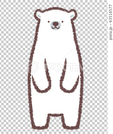 Polar Bear Large Front View Stock Illustration