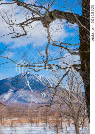戦場ヶ原太郎山 63518929