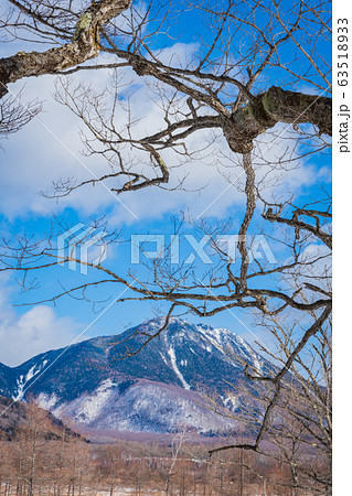 戦場ヶ原太郎山 戦場ヶ原太郎山 63518933