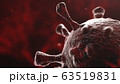 Microscopic image of virus 63519831