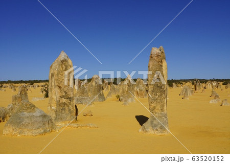 パース郊外 ナンバン国立公園 奇岩のピナクルズ 63520152