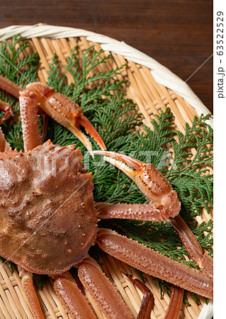 ずわい蟹 ずわい蟹 63522529