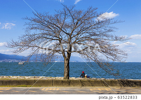 琵琶湖畔なぎさ公園風景 63522833