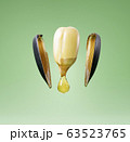 Cracked sunflower seed with oil drop isolated on 63523765