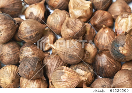 black garlic healthy food arranging on white background black garlic healthy food arranging on white background 63526509