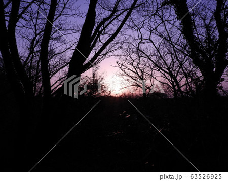 夕日 63526925