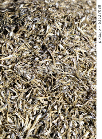 いりこ いりこ 63527089