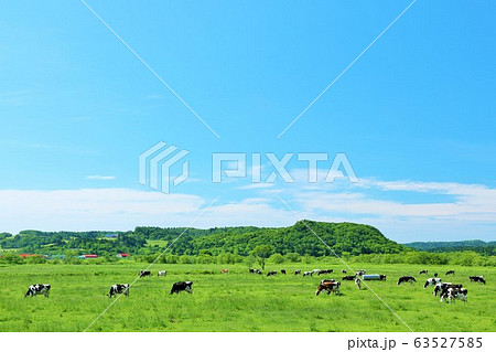 北海道　夏の青空と広大な牧場風景 63527585