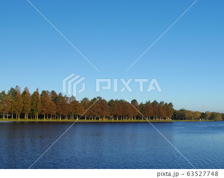 水元公園 水元公園 63527748