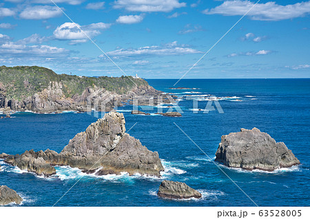【海金剛】 和歌山県東牟婁郡串本町樫野 63528005