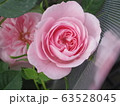 ミニバラ 63528045