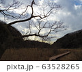 冬の山歩き 63528265