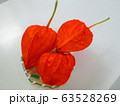 ほおずき 63528269