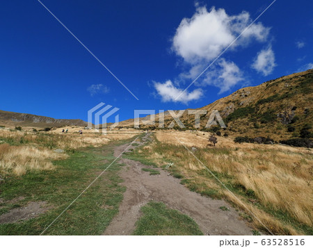 ニュージーランドの風景 63528516