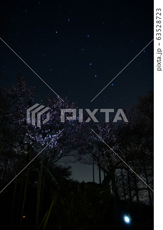北杜市武川町、神代桜の花と北斗七星 63528723