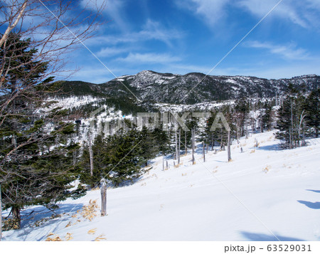 冬の北八ヶ岳登山 63529031