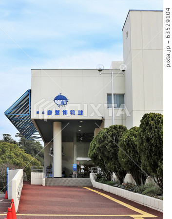 和歌山県立自然博物館 63529104