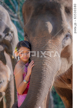 Beautiful thai women wearing traditional thai clothes standing on an elephant in nature park thailand, woman concept. 63530380