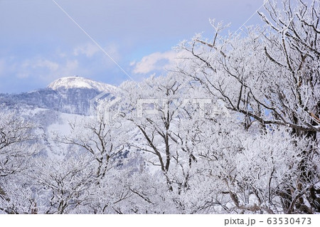 丹沢山の霧氷と蛭ヶ岳 63530473