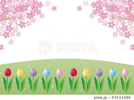 さくら チューリップ 春 花 風景 背景 コピースペースのイラスト素材