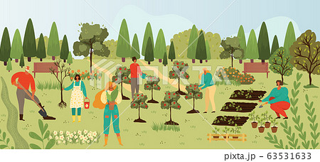 Plants and people gardening, harvesting fruits on trees plantation in summer cartoon vector illusrtration of greenery plantation. Plants and people gardening, harvesting fruits on trees plantation in summer cartoon vector illusrtration of greenery plantation. 63531633