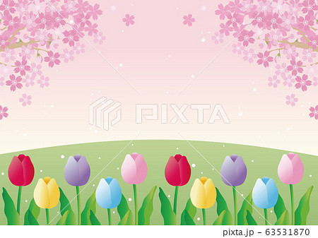 さくら チューリップ 春 花 風景 背景 コピースペースのイラスト素材