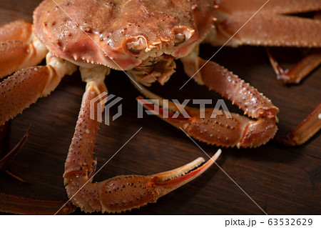 ずわい蟹 ずわい蟹 63532629